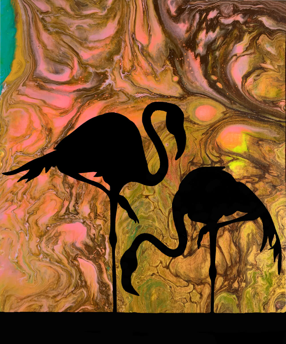Flamingos